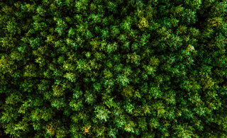 Sustainable Solutions for a Healthier World